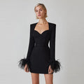 Ostrich Feather Long Sleeve Mini Dress – Women's Sexy Evening & Club Dress